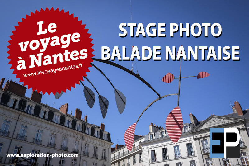 Stage photo – spécial VOYAGE A NANTES 2020